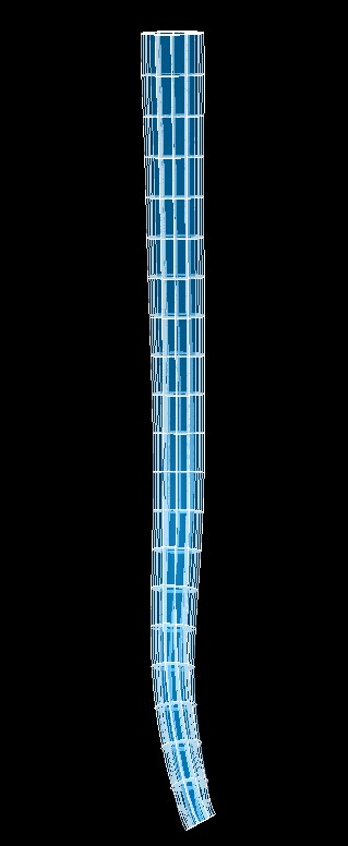 ../../../_images/scaffoldmaker_human_esophagus.jpg