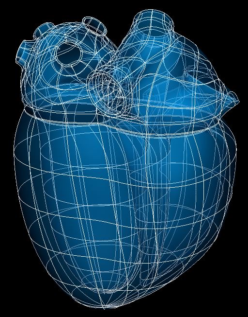 ../../../_images/scaffoldmaker_human_heart.jpg