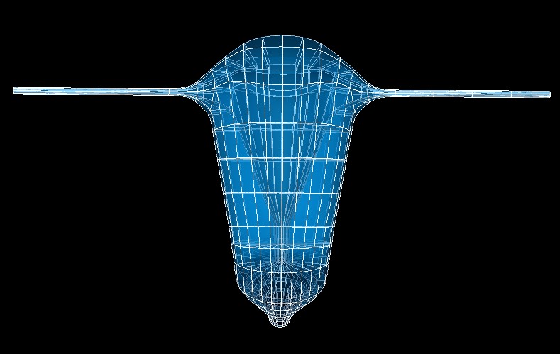 ../../../_images/scaffoldmaker_human_uterus.jpg