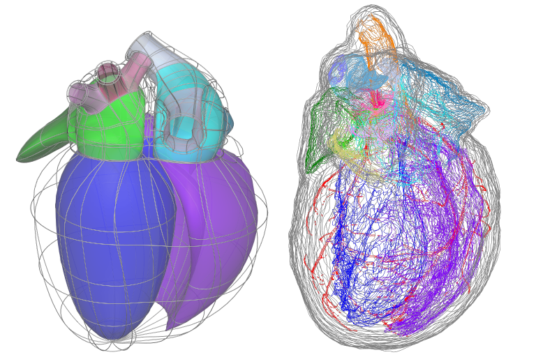 ../../_images/scaffold-data-annotation-groups1.png