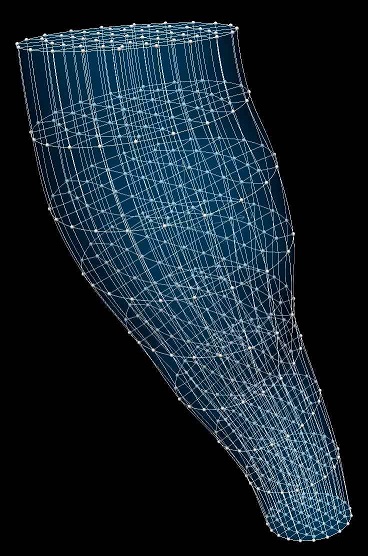 ../../../_images/scaffoldmaker_human_brainstem.jpg