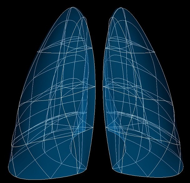 ../../../_images/scaffoldmaker_human_lung.jpg